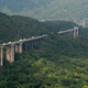 Image for article titled How We'll Live in a Future Where Cities Have Become Forests